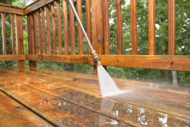 Best Soft Washing  in Ellisburg, NJ